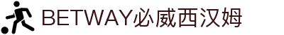 BETWAY·必威(西汉姆联)官方网站-West Ham United